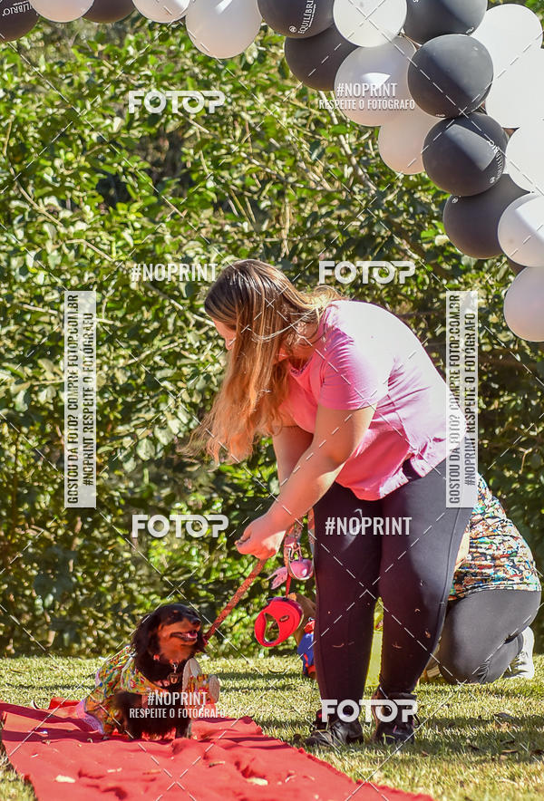 Buy your photos of the event5 Encontro Oficial de Dachshunds e Concurso de Fantasias do Clube dos Salsichanos de Ribeiro Preto/SP on Fotop