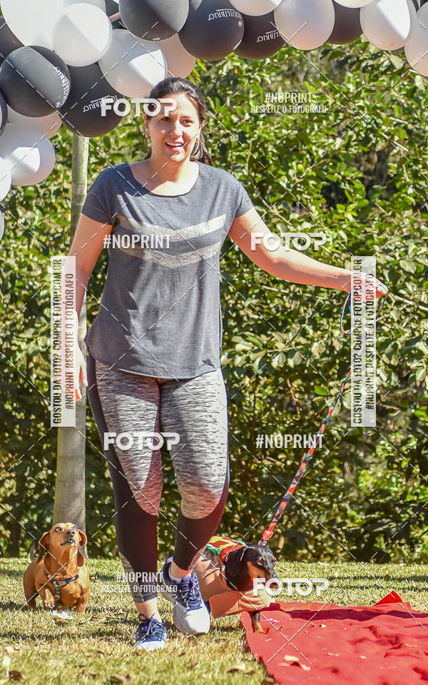 Buy your photos of the event5 Encontro Oficial de Dachshunds e Concurso de Fantasias do Clube dos Salsichanos de Ribeiro Preto/SP on Fotop