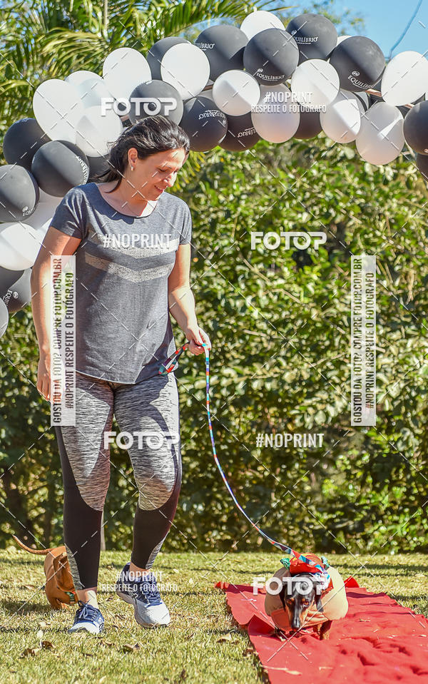 Buy your photos of the event5 Encontro Oficial de Dachshunds e Concurso de Fantasias do Clube dos Salsichanos de Ribeiro Preto/SP on Fotop