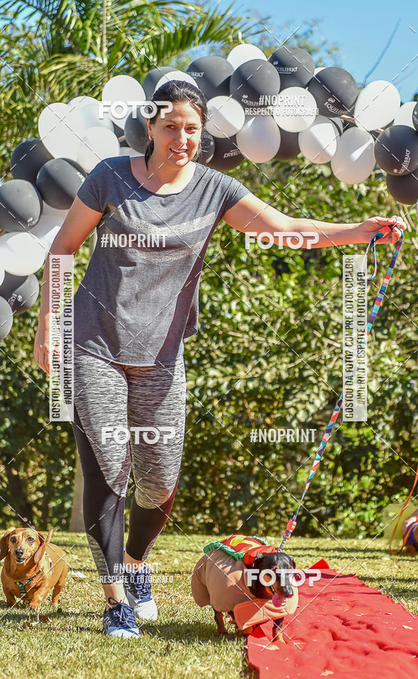 Buy your photos of the event5 Encontro Oficial de Dachshunds e Concurso de Fantasias do Clube dos Salsichanos de Ribeiro Preto/SP on Fotop