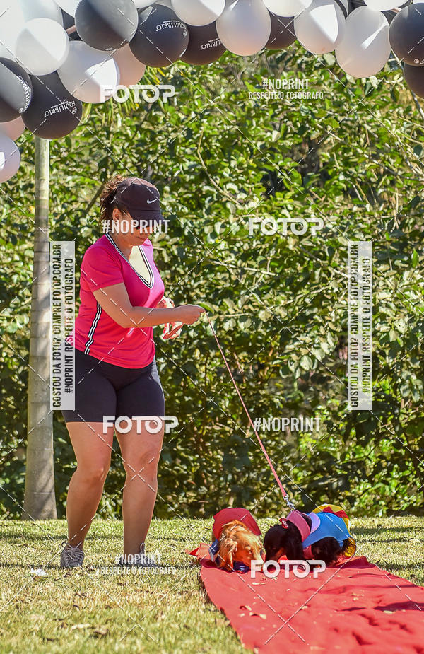 Buy your photos of the event5 Encontro Oficial de Dachshunds e Concurso de Fantasias do Clube dos Salsichanos de Ribeiro Preto/SP on Fotop