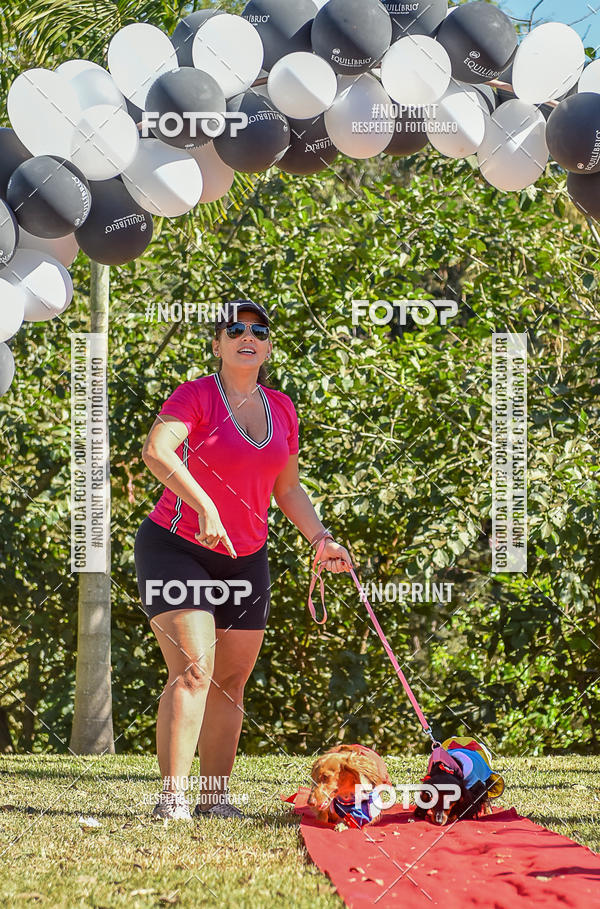 Buy your photos of the event5 Encontro Oficial de Dachshunds e Concurso de Fantasias do Clube dos Salsichanos de Ribeiro Preto/SP on Fotop