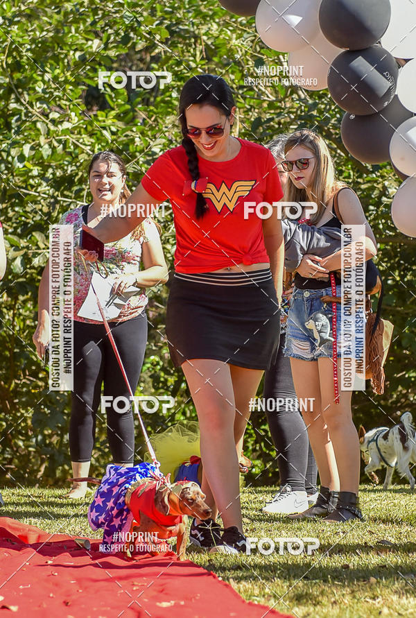 Buy your photos of the event5 Encontro Oficial de Dachshunds e Concurso de Fantasias do Clube dos Salsichanos de Ribeiro Preto/SP on Fotop