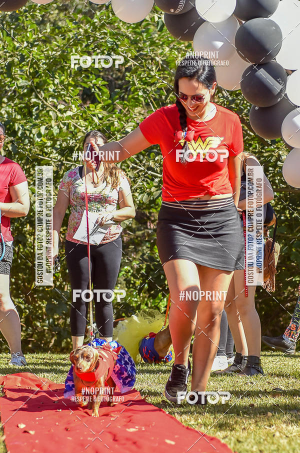 Buy your photos of the event5 Encontro Oficial de Dachshunds e Concurso de Fantasias do Clube dos Salsichanos de Ribeiro Preto/SP on Fotop