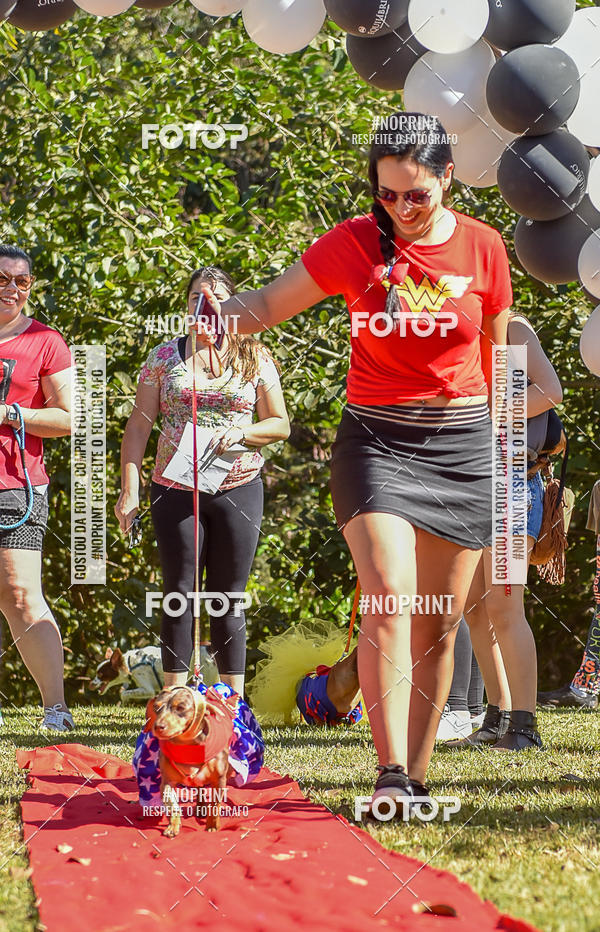 Buy your photos of the event5 Encontro Oficial de Dachshunds e Concurso de Fantasias do Clube dos Salsichanos de Ribeiro Preto/SP on Fotop