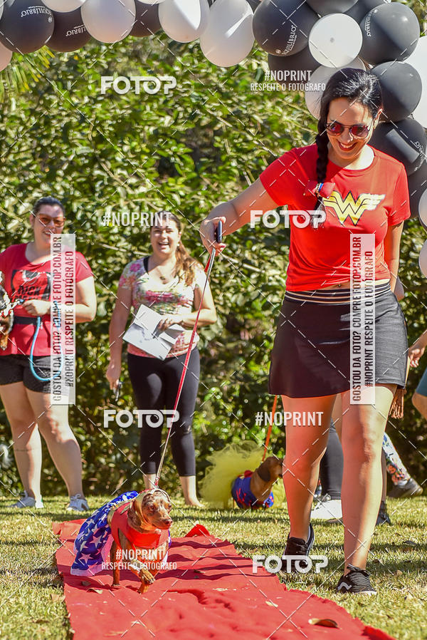 Buy your photos of the event5 Encontro Oficial de Dachshunds e Concurso de Fantasias do Clube dos Salsichanos de Ribeiro Preto/SP on Fotop