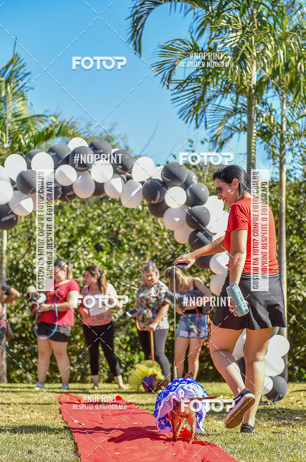 Buy your photos of the event5 Encontro Oficial de Dachshunds e Concurso de Fantasias do Clube dos Salsichanos de Ribeiro Preto/SP on Fotop
