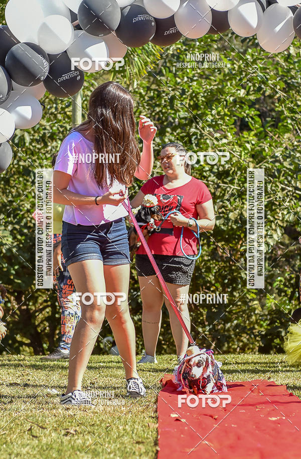 Buy your photos of the event5 Encontro Oficial de Dachshunds e Concurso de Fantasias do Clube dos Salsichanos de Ribeiro Preto/SP on Fotop