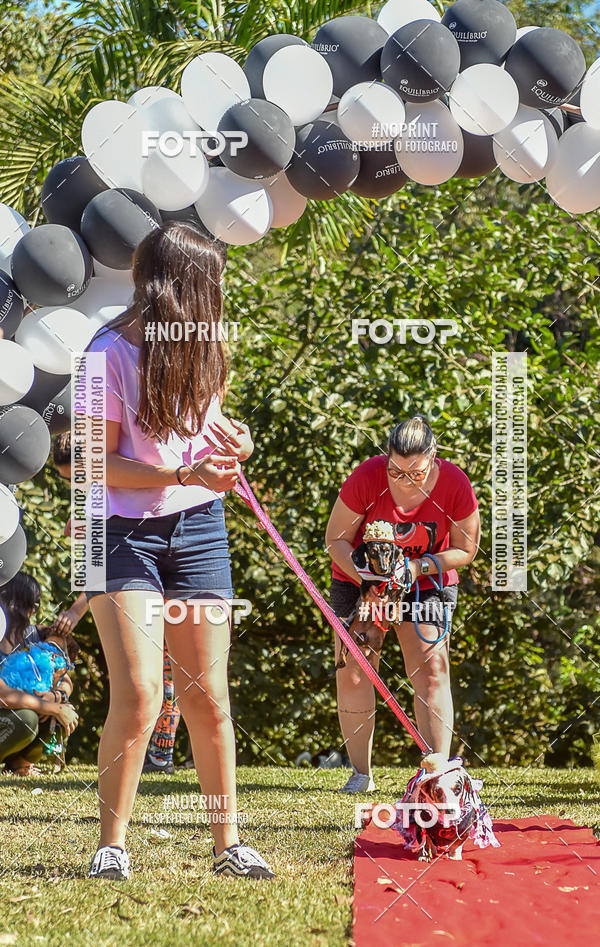 Buy your photos of the event5 Encontro Oficial de Dachshunds e Concurso de Fantasias do Clube dos Salsichanos de Ribeiro Preto/SP on Fotop