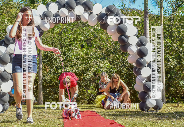 Buy your photos of the event5 Encontro Oficial de Dachshunds e Concurso de Fantasias do Clube dos Salsichanos de Ribeiro Preto/SP on Fotop