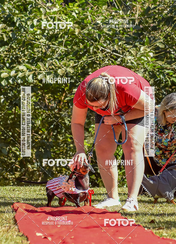 Buy your photos of the event5 Encontro Oficial de Dachshunds e Concurso de Fantasias do Clube dos Salsichanos de Ribeiro Preto/SP on Fotop