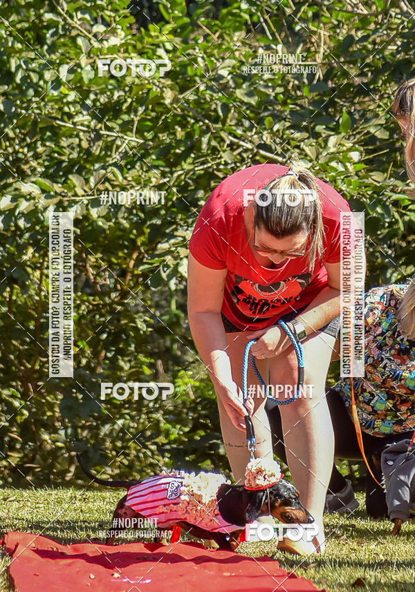 Buy your photos of the event5 Encontro Oficial de Dachshunds e Concurso de Fantasias do Clube dos Salsichanos de Ribeiro Preto/SP on Fotop