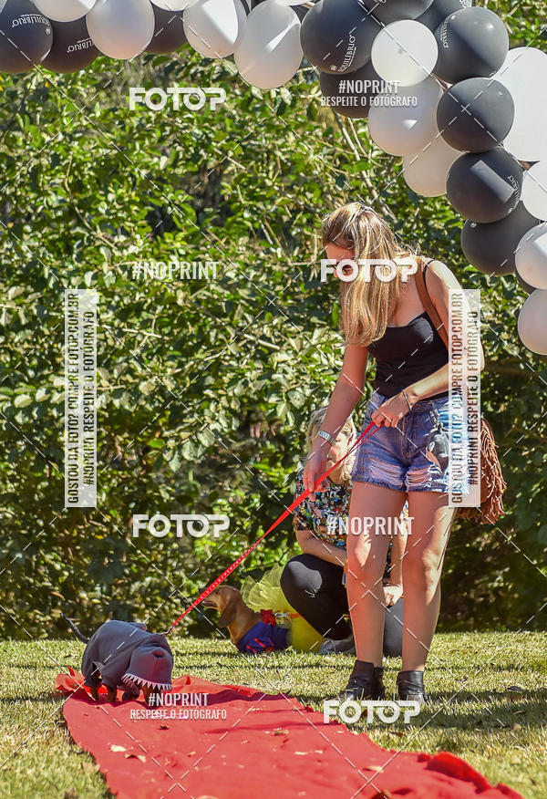 Buy your photos of the event5 Encontro Oficial de Dachshunds e Concurso de Fantasias do Clube dos Salsichanos de Ribeiro Preto/SP on Fotop