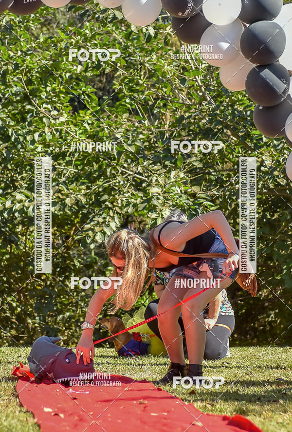 Buy your photos of the event5 Encontro Oficial de Dachshunds e Concurso de Fantasias do Clube dos Salsichanos de Ribeiro Preto/SP on Fotop