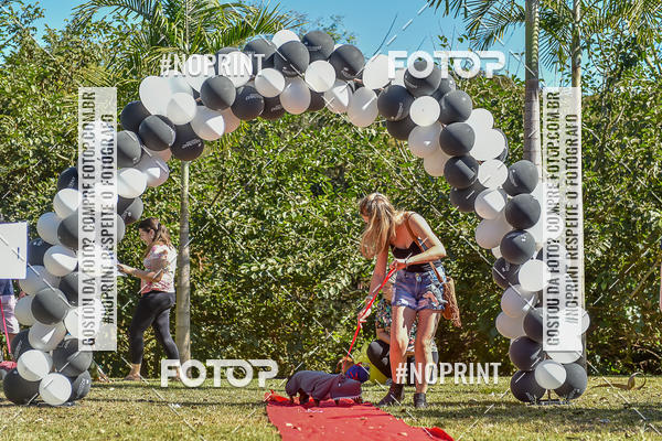 Buy your photos of the event5 Encontro Oficial de Dachshunds e Concurso de Fantasias do Clube dos Salsichanos de Ribeiro Preto/SP on Fotop