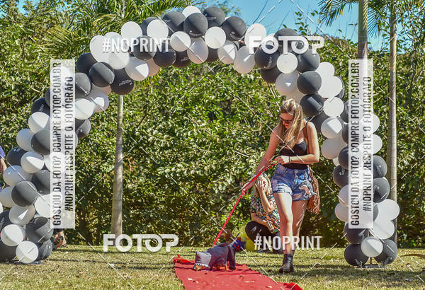 Buy your photos of the event5 Encontro Oficial de Dachshunds e Concurso de Fantasias do Clube dos Salsichanos de Ribeiro Preto/SP on Fotop