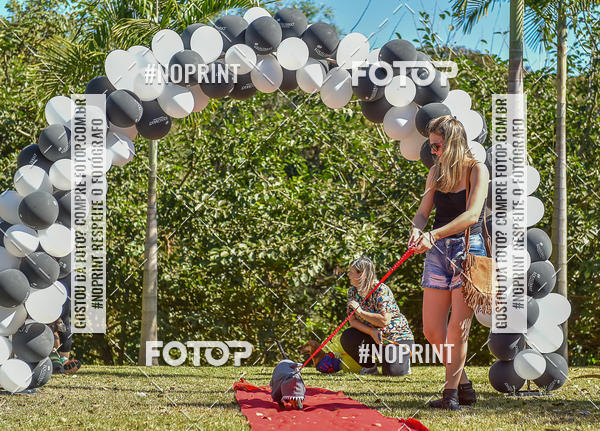 Buy your photos of the event5 Encontro Oficial de Dachshunds e Concurso de Fantasias do Clube dos Salsichanos de Ribeiro Preto/SP on Fotop