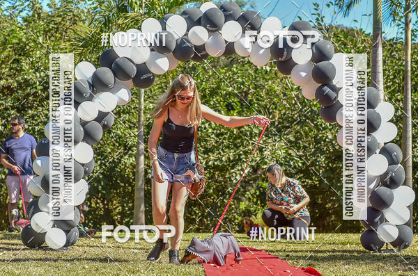 Buy your photos of the event5 Encontro Oficial de Dachshunds e Concurso de Fantasias do Clube dos Salsichanos de Ribeiro Preto/SP on Fotop