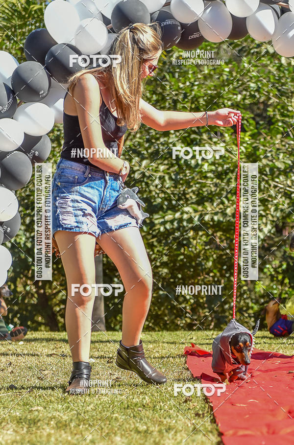 Buy your photos of the event5 Encontro Oficial de Dachshunds e Concurso de Fantasias do Clube dos Salsichanos de Ribeiro Preto/SP on Fotop