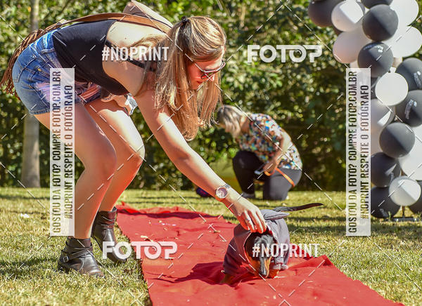Buy your photos of the event5 Encontro Oficial de Dachshunds e Concurso de Fantasias do Clube dos Salsichanos de Ribeiro Preto/SP on Fotop