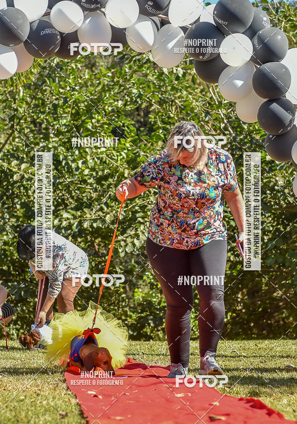 Buy your photos of the event5 Encontro Oficial de Dachshunds e Concurso de Fantasias do Clube dos Salsichanos de Ribeiro Preto/SP on Fotop