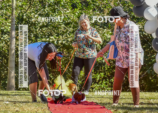 Buy your photos of the event5 Encontro Oficial de Dachshunds e Concurso de Fantasias do Clube dos Salsichanos de Ribeiro Preto/SP on Fotop
