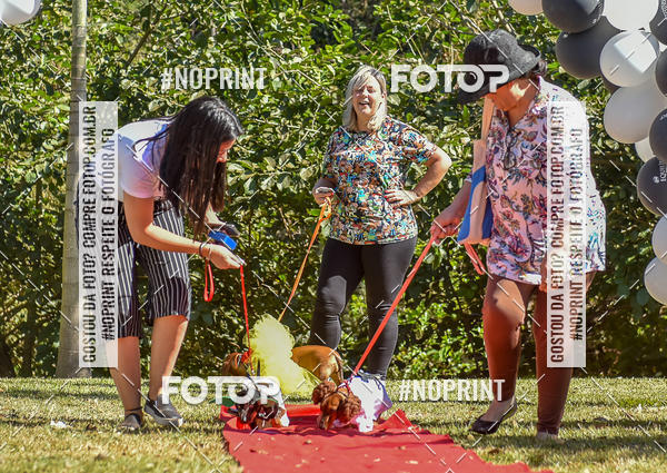 Buy your photos of the event5 Encontro Oficial de Dachshunds e Concurso de Fantasias do Clube dos Salsichanos de Ribeiro Preto/SP on Fotop