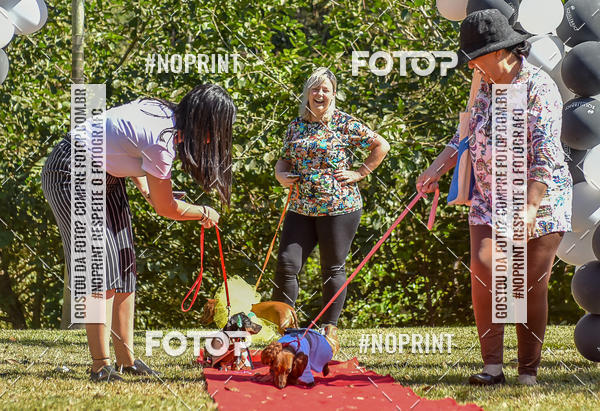 Buy your photos of the event5 Encontro Oficial de Dachshunds e Concurso de Fantasias do Clube dos Salsichanos de Ribeiro Preto/SP on Fotop