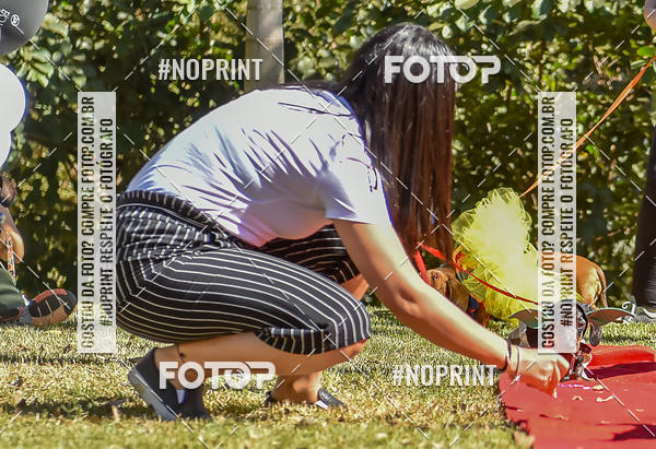 Buy your photos of the event5 Encontro Oficial de Dachshunds e Concurso de Fantasias do Clube dos Salsichanos de Ribeiro Preto/SP on Fotop