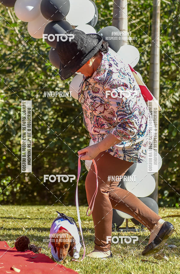 Buy your photos of the event5 Encontro Oficial de Dachshunds e Concurso de Fantasias do Clube dos Salsichanos de Ribeiro Preto/SP on Fotop