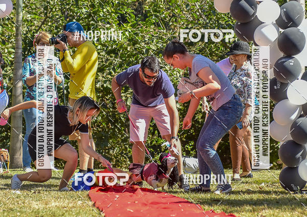Buy your photos of the event5 Encontro Oficial de Dachshunds e Concurso de Fantasias do Clube dos Salsichanos de Ribeiro Preto/SP on Fotop