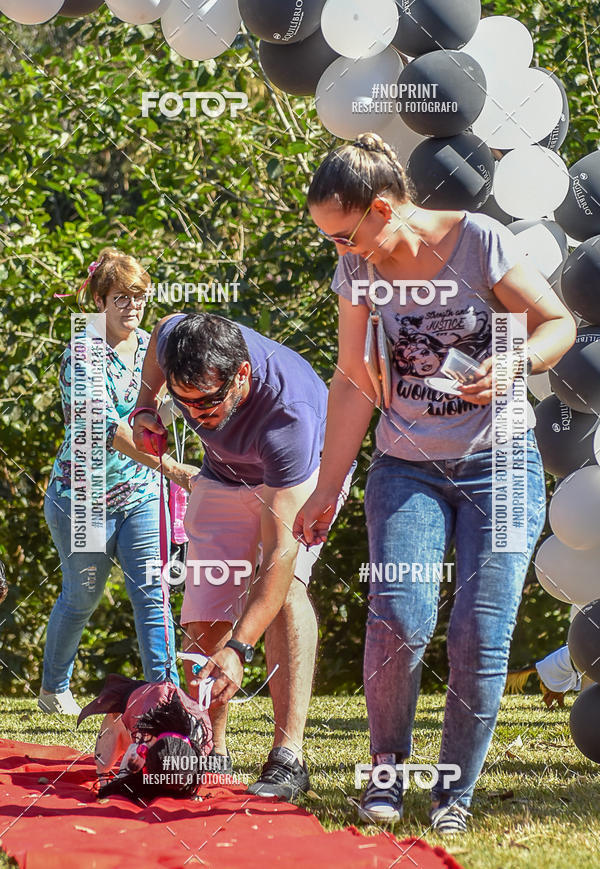 Buy your photos of the event5 Encontro Oficial de Dachshunds e Concurso de Fantasias do Clube dos Salsichanos de Ribeiro Preto/SP on Fotop
