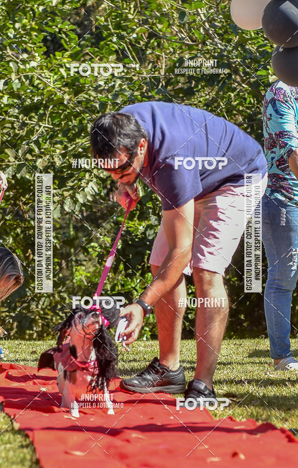 Buy your photos of the event5 Encontro Oficial de Dachshunds e Concurso de Fantasias do Clube dos Salsichanos de Ribeiro Preto/SP on Fotop