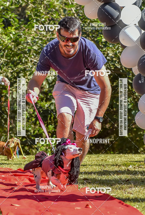 Buy your photos of the event5 Encontro Oficial de Dachshunds e Concurso de Fantasias do Clube dos Salsichanos de Ribeiro Preto/SP on Fotop