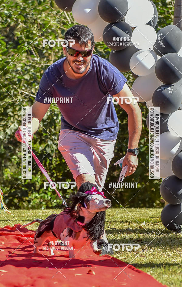 Buy your photos of the event5 Encontro Oficial de Dachshunds e Concurso de Fantasias do Clube dos Salsichanos de Ribeiro Preto/SP on Fotop