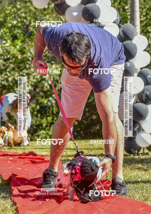 Buy your photos of the event5 Encontro Oficial de Dachshunds e Concurso de Fantasias do Clube dos Salsichanos de Ribeiro Preto/SP on Fotop