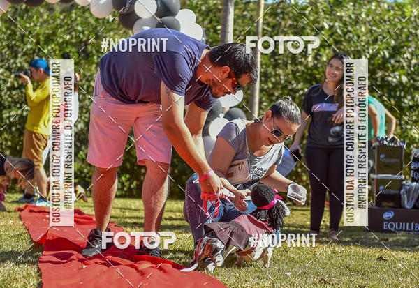 Buy your photos of the event5 Encontro Oficial de Dachshunds e Concurso de Fantasias do Clube dos Salsichanos de Ribeiro Preto/SP on Fotop