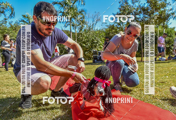 Buy your photos of the event5 Encontro Oficial de Dachshunds e Concurso de Fantasias do Clube dos Salsichanos de Ribeiro Preto/SP on Fotop