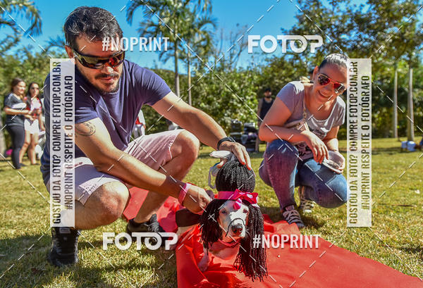 Buy your photos of the event5 Encontro Oficial de Dachshunds e Concurso de Fantasias do Clube dos Salsichanos de Ribeiro Preto/SP on Fotop