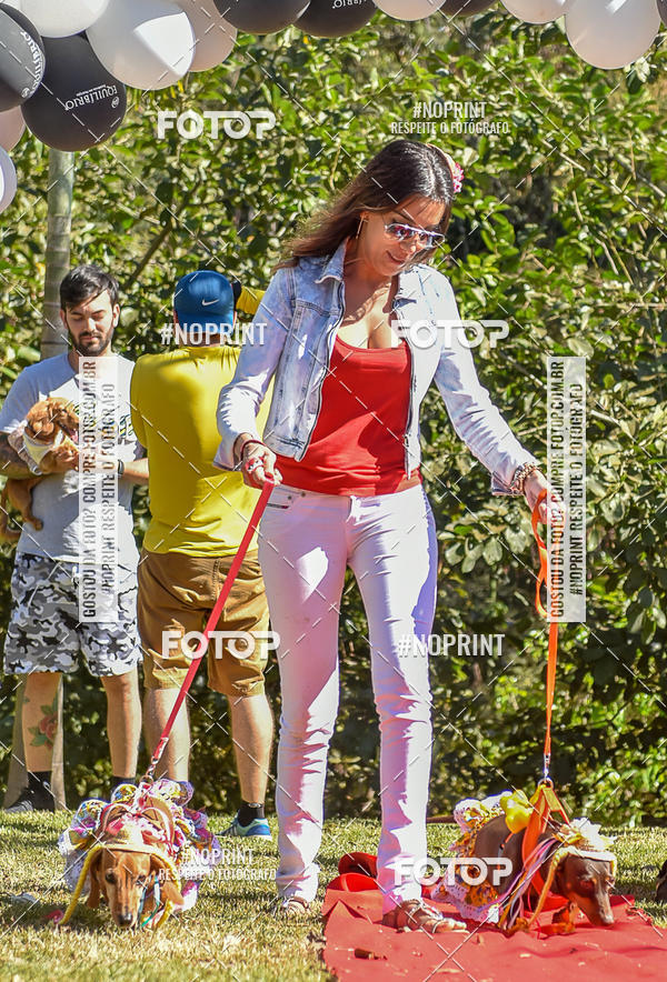 Buy your photos of the event5 Encontro Oficial de Dachshunds e Concurso de Fantasias do Clube dos Salsichanos de Ribeiro Preto/SP on Fotop