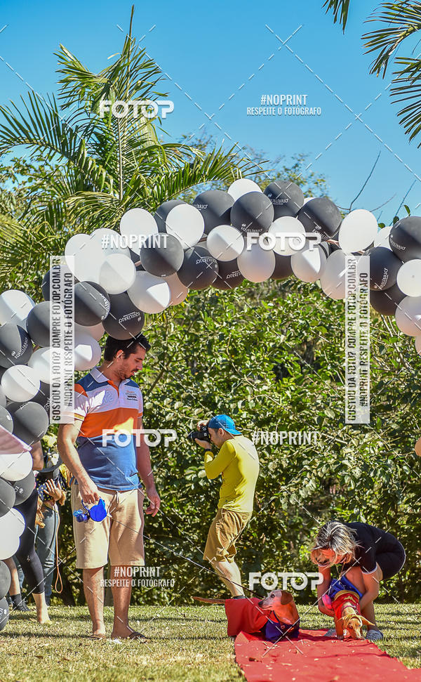 Buy your photos of the event5 Encontro Oficial de Dachshunds e Concurso de Fantasias do Clube dos Salsichanos de Ribeiro Preto/SP on Fotop