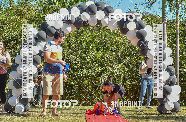 Buy your photos of the event5 Encontro Oficial de Dachshunds e Concurso de Fantasias do Clube dos Salsichanos de Ribeiro Preto/SP on Fotop