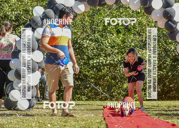 Buy your photos of the event5 Encontro Oficial de Dachshunds e Concurso de Fantasias do Clube dos Salsichanos de Ribeiro Preto/SP on Fotop