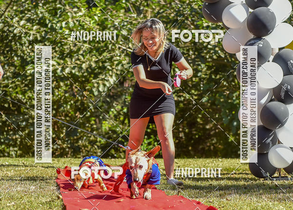 Buy your photos of the event5 Encontro Oficial de Dachshunds e Concurso de Fantasias do Clube dos Salsichanos de Ribeiro Preto/SP on Fotop