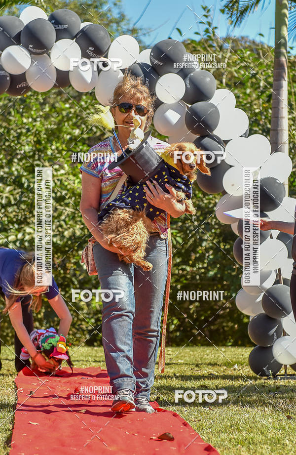 Buy your photos of the event5 Encontro Oficial de Dachshunds e Concurso de Fantasias do Clube dos Salsichanos de Ribeiro Preto/SP on Fotop