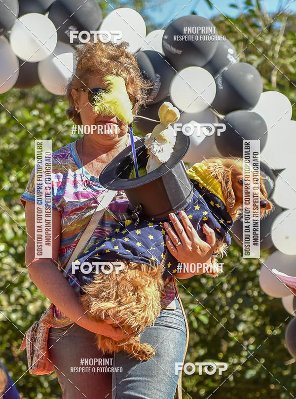 Buy your photos of the event5 Encontro Oficial de Dachshunds e Concurso de Fantasias do Clube dos Salsichanos de Ribeiro Preto/SP on Fotop