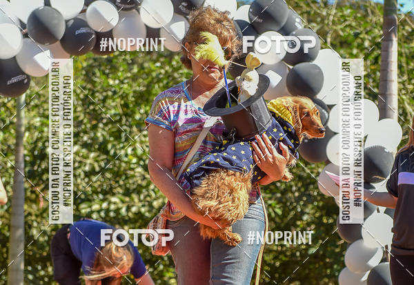 Buy your photos of the event5 Encontro Oficial de Dachshunds e Concurso de Fantasias do Clube dos Salsichanos de Ribeiro Preto/SP on Fotop