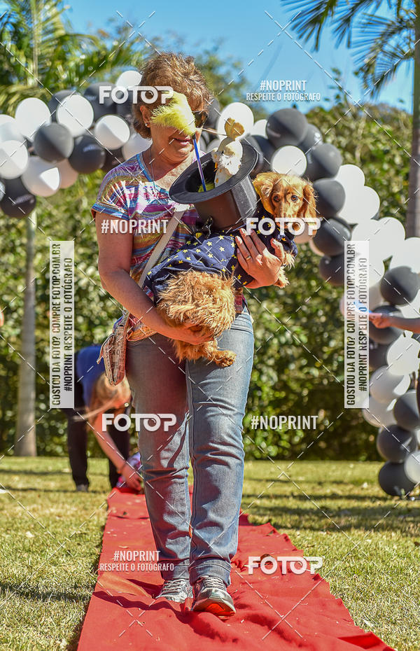 Buy your photos of the event5 Encontro Oficial de Dachshunds e Concurso de Fantasias do Clube dos Salsichanos de Ribeiro Preto/SP on Fotop