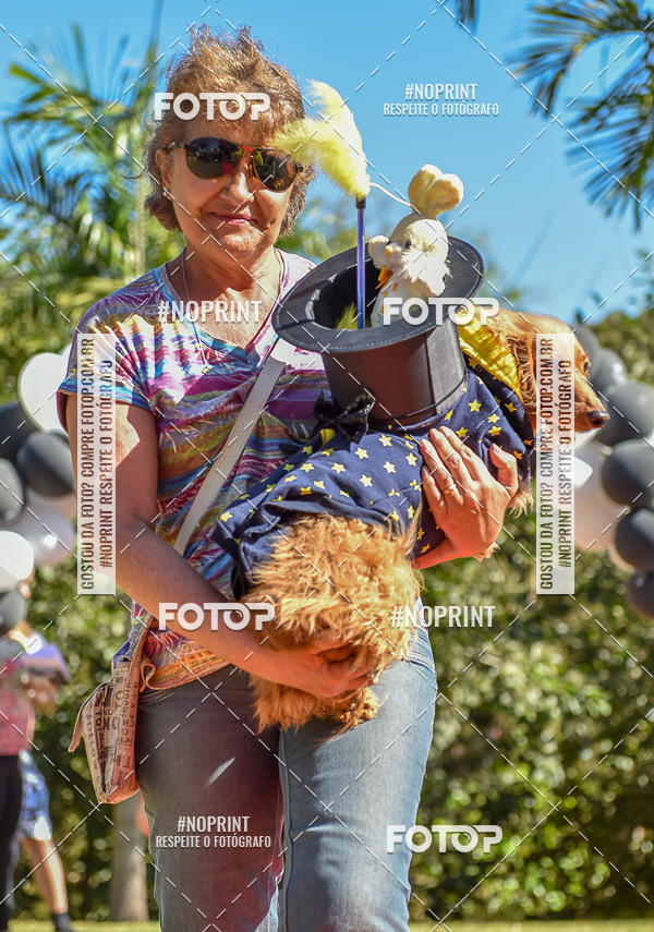 Buy your photos of the event5 Encontro Oficial de Dachshunds e Concurso de Fantasias do Clube dos Salsichanos de Ribeiro Preto/SP on Fotop