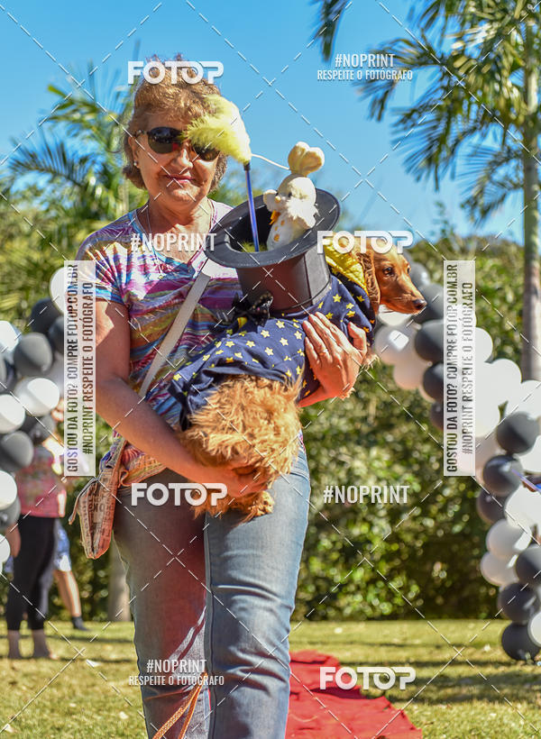 Buy your photos of the event5 Encontro Oficial de Dachshunds e Concurso de Fantasias do Clube dos Salsichanos de Ribeiro Preto/SP on Fotop